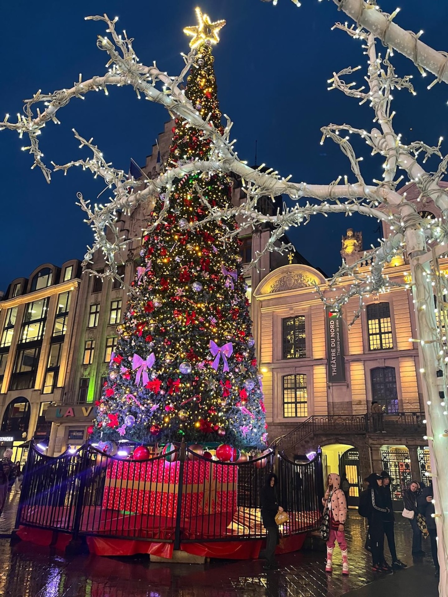 20251208_175611000_iOS 1