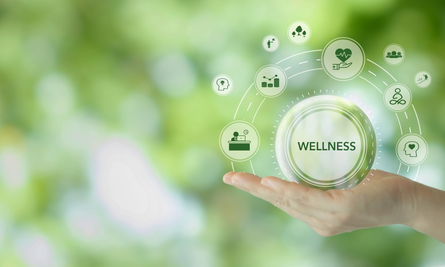 Wellness concept. Health, mindfulness, mental health, happiness, financial stability and growth icons on green natural background. Balance and integration in achieving overall wellbeing