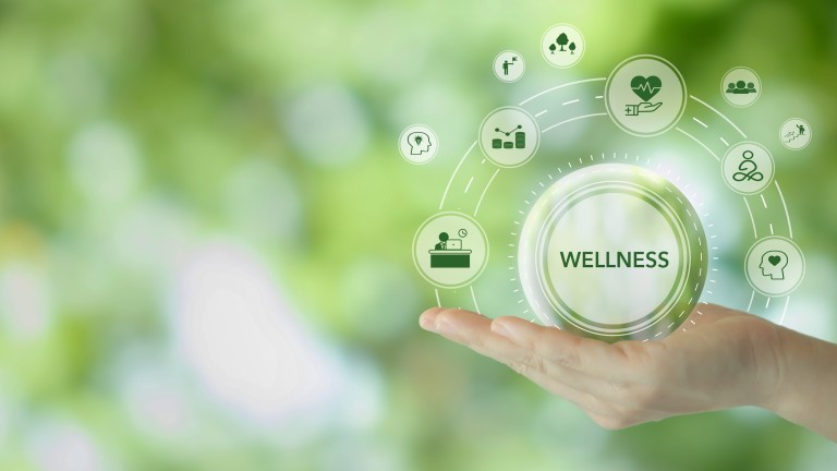 Wellness concept. Health, mindfulness, mental health, happiness, financial stability and growth icons on green natural background. Balance and integration in achieving overall wellbeing