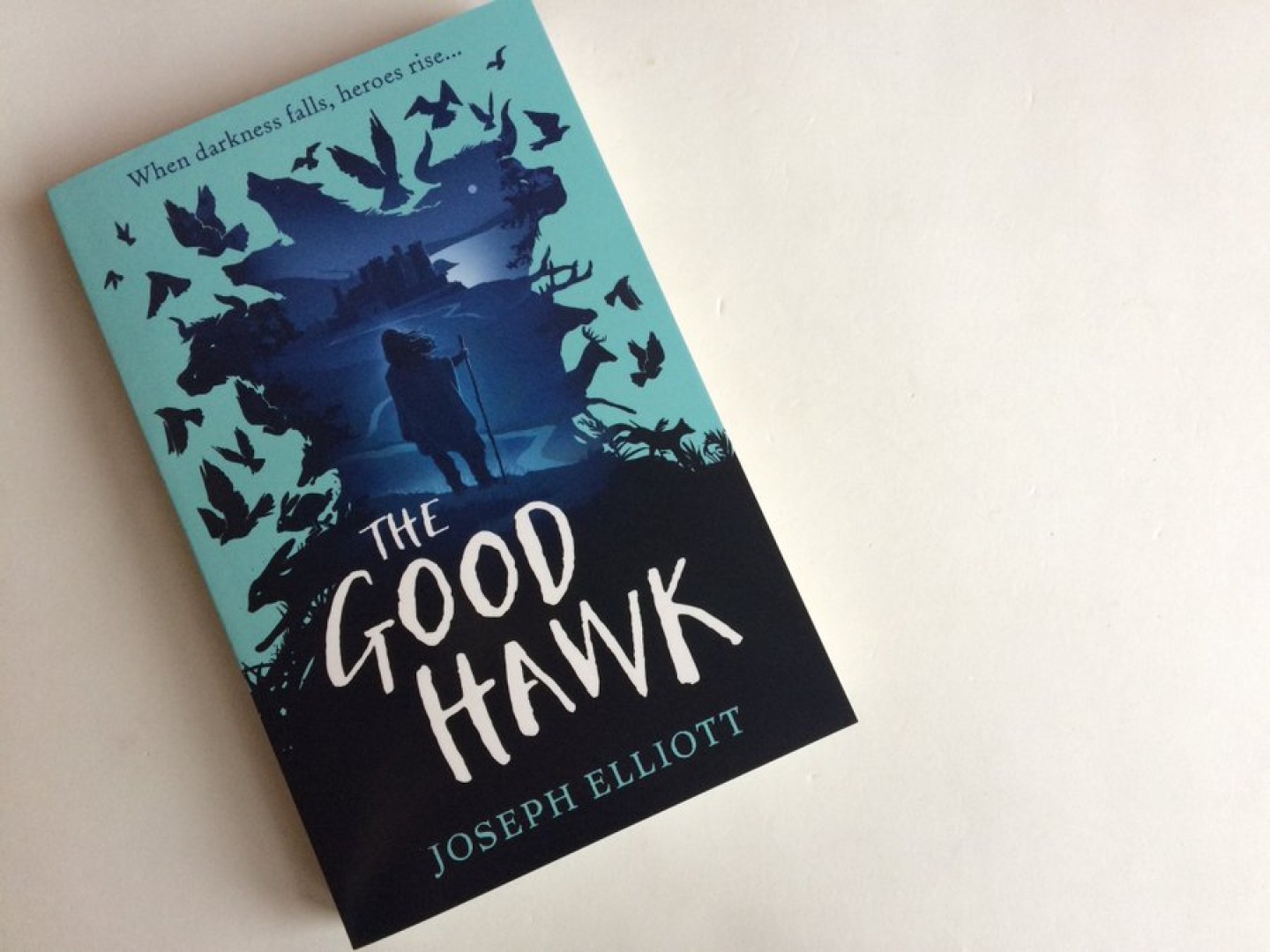 the-good-hawk